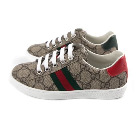 gucci ace supreme